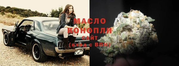 индика Верхний Тагил