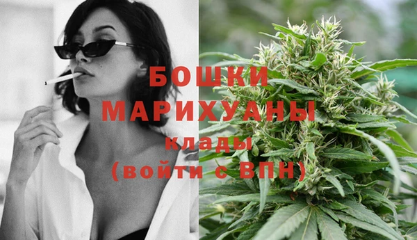индика Верхний Тагил
