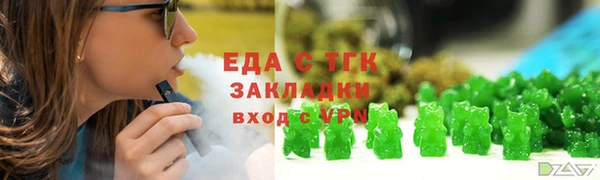 индика Верхний Тагил