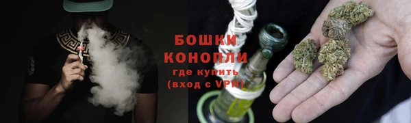 индика Верхний Тагил