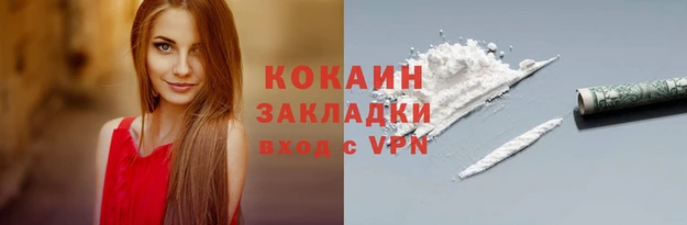 индика Верхний Тагил