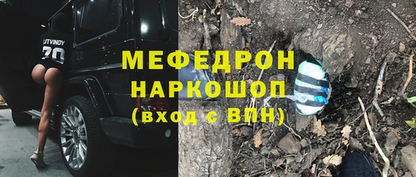 индика Верхний Тагил