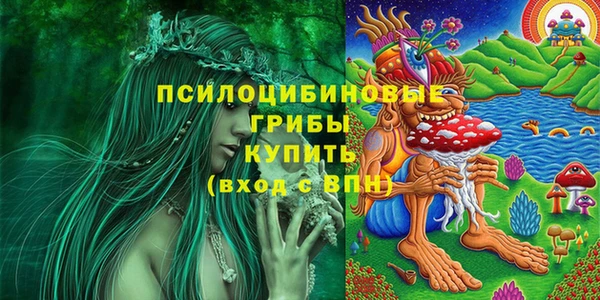 гидропоника Верхнеуральск