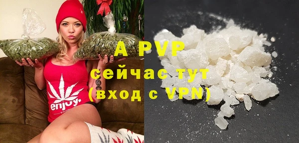индика Верхний Тагил