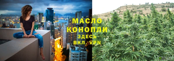 индика Верхний Тагил