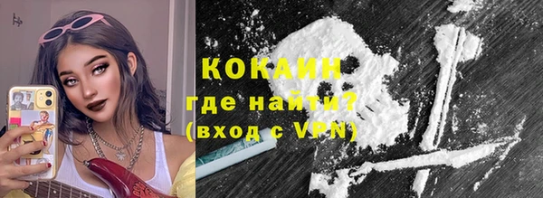 индика Верхний Тагил