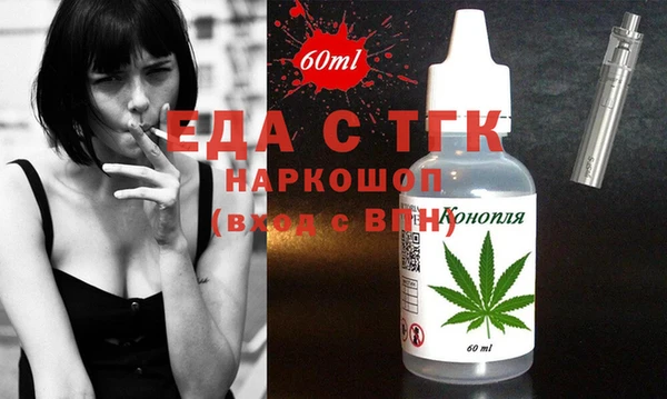 индика Верхний Тагил