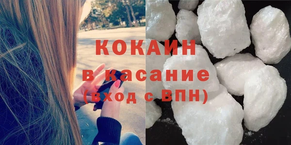 индика Верхний Тагил