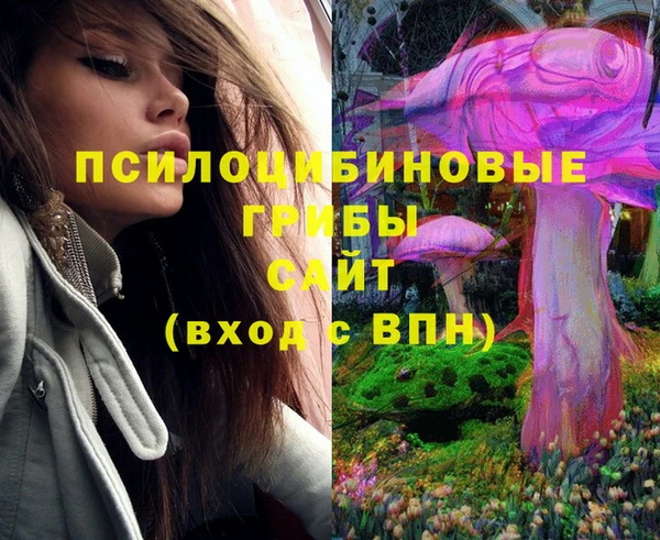 индика Верхний Тагил