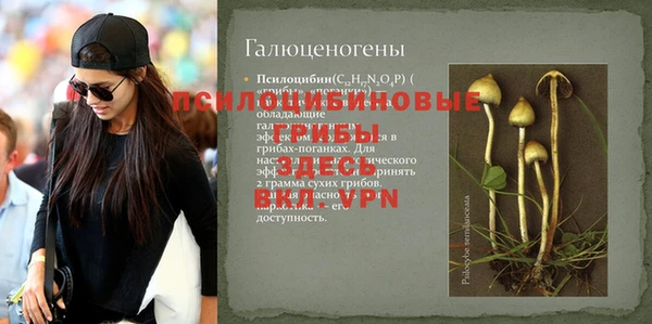 молекула духа Верея
