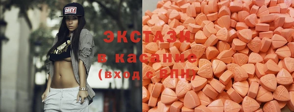 индика Верхний Тагил