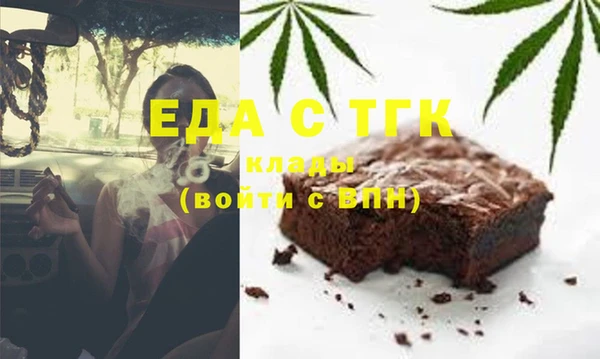 индика Верхний Тагил