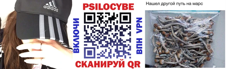 как найти   Копейск  Псилоцибиновые грибы прущие грибы 